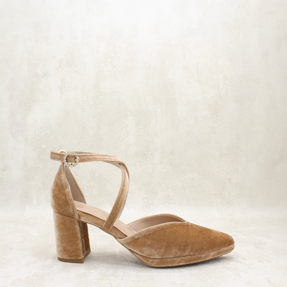 VELVET AVELLANA