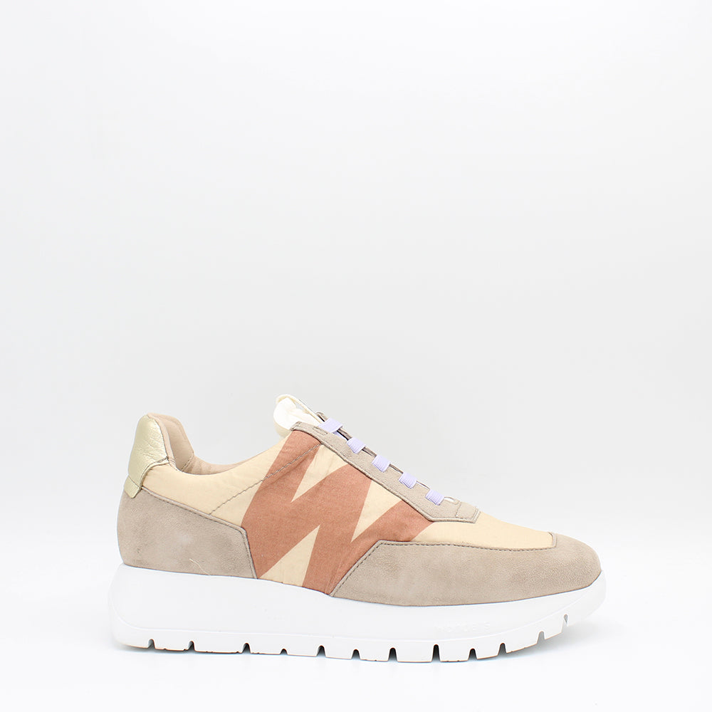 ANTE TAUPE BEIGE
