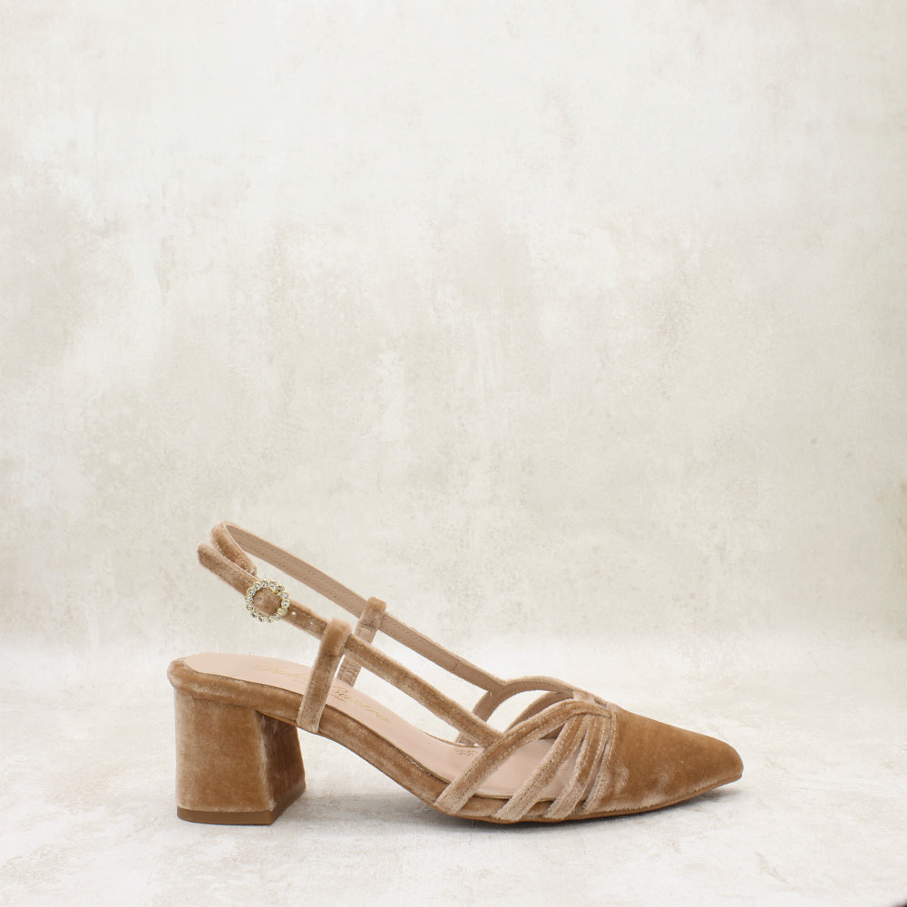 VELVET AVELLANA
